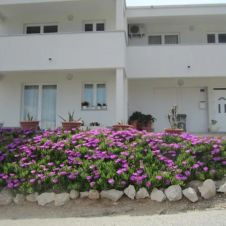 Pleasing In Pag Dalmatia, Croatia *