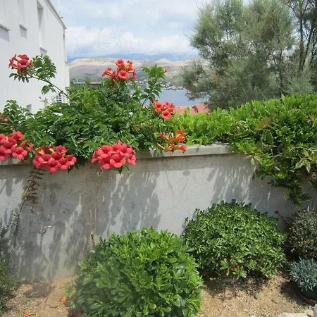 Pleasing In Pag Dalmatia, Croatia * 帕格